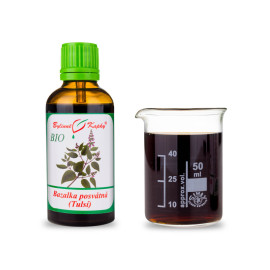 Heiliges Basilikum BIO Tropfen (Tinktur) 50 ml