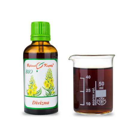 Wilde Königskerzentropfen (Tinktur) BIO 50 ml