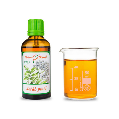 Eberesche Vogelblume BIO Tropfen (Tinktur) 50 ml