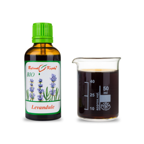 Lavendel BIO Tropfen (Tinktur) 50 ml