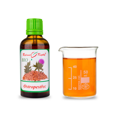 Mariendistel BIO Tropfen (Tinktur) 50 ml