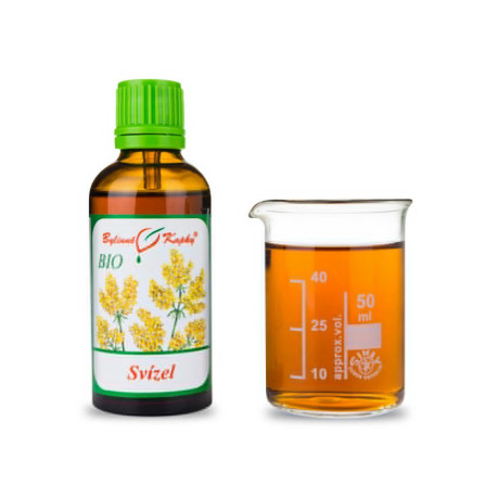 Limettenbeere BIO Tropfen (Tinktur) 50 ml
