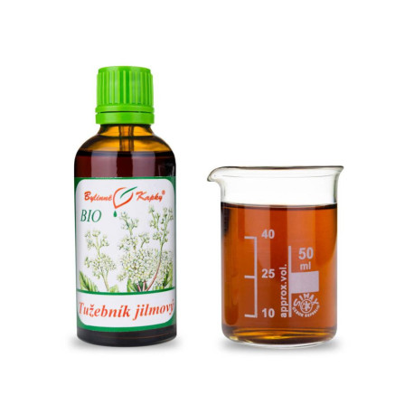 Sehnsüchtige Ulme Blütenblättchen Tropfen (Tinktur) 50 ml