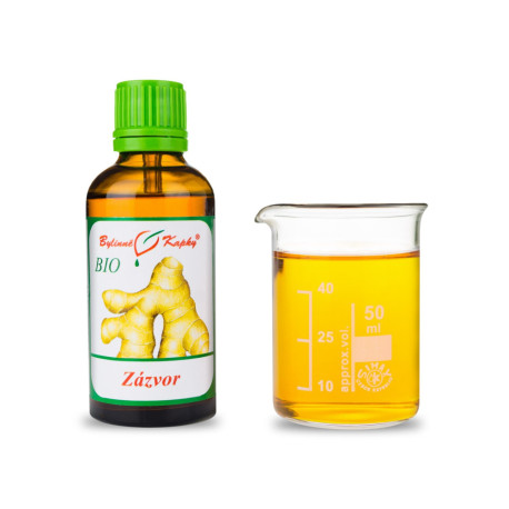 Ingwer BIO Tropfen (Tinktur) 50 ml