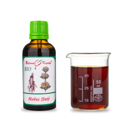 Gelber Enzian BIO Tropfen (Tinktur) 50 ml