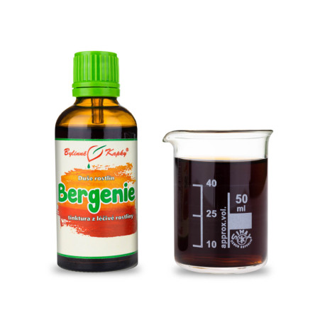 Bergenia - Tropfen Seele der Pflanzen (Tinktur) 50 ml