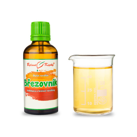 Birke - Tropfen Seele der Pflanzen (Tinktur) 50 ml