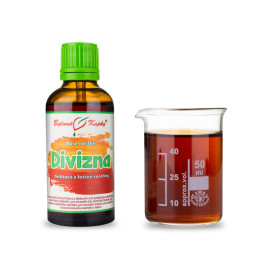 Großblumige Königskerze - Kräutertropfen (Tinktur) Pflanzenseele 50 ml