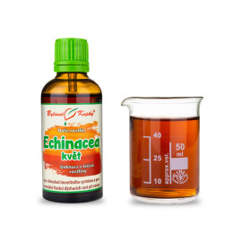 Echinacea Purple Flower - Kräutertropfen (Tinktur) Pflanzenseele 50 ml