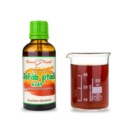 Eberesche Vogelblume - Kräutertropfen (Tinktur) Pflanzenseele 50 ml