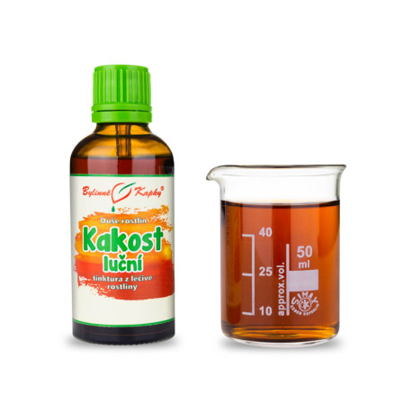 Wiesen-Nieswurz - Kräutertropfen (Tinktur) Pflanzenseele 50 ml