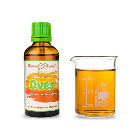 Hafer - Kräutertropfen (Tinktur) Pflanzenseele 50 ml