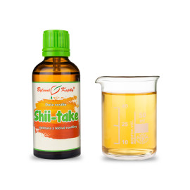 Essbares Tenato - Kräutertropfen (Tinktur) Pflanzenseele 50 ml