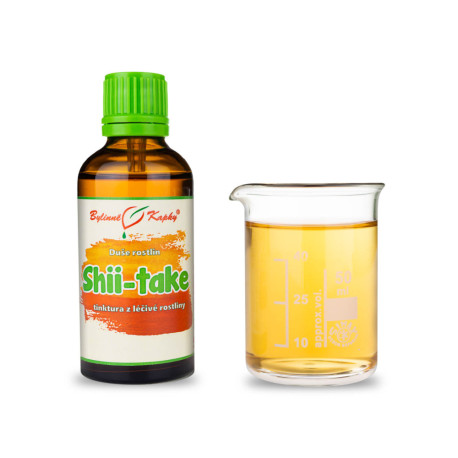 Essbares Tenato - Kräutertropfen (Tinktur) Pflanzenseele 50 ml