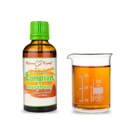 Garten-Champignon - Kräutertropfen (Tinktur) Pflanzenseele 50 ml