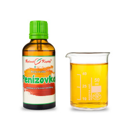 Winterclematis - Kräutertropfen (Tinktur) Pflanzenseele 50 ml
