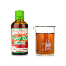 Echinacea angustifolia (Echinacea schmalblättrig) - Kräutertropfen (Tinktur) Pflanzenseele 50 ml