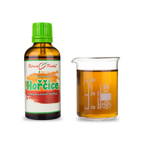 Weißer Senf - Kräutertropfen (Tinktur) Seele der Pflanzen 50 ml