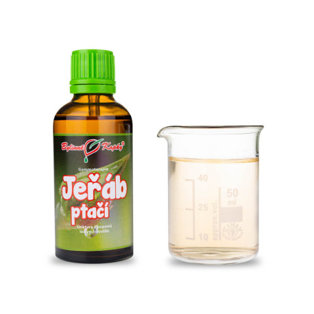 Vogelknospe Eberesche 50 ml - Gemmotherapie