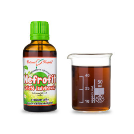Nephrophytentropfen (Tinktur) 50 ml