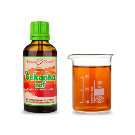 Chicorée - Kräutertropfen (Tinktur) Pflanzenseele 50 ml