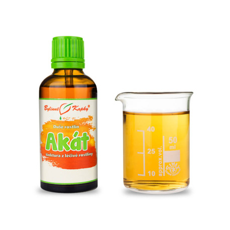 Weiße Akazie - Kräutertropfen (Tinktur) 50 ml