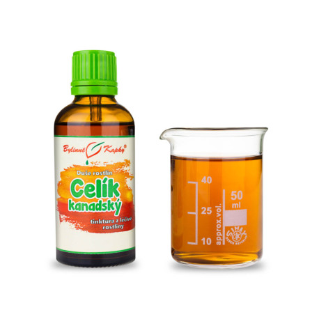 Kanadische Goldrute - Tropfen Seele der Pflanzen (Tinktur) 50 ml