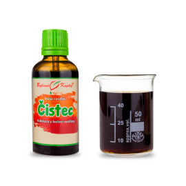 Waldportulak - Kräutertropfen (Tinktur) Pflanzenseele 50 ml