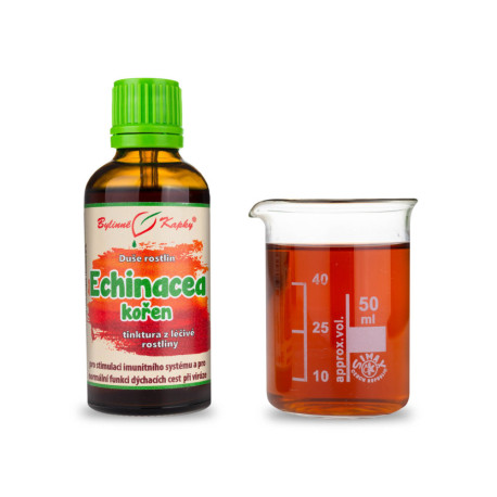 Echinacea Purple Root - Kräutertropfen (Tinktur) Pflanzenseele 50 ml
