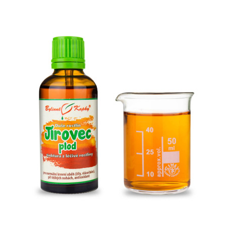 Rosskastanie - Kräutertropfen (Tinktur) Pflanzenseele 50 ml