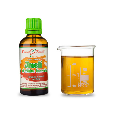 Schwarznuss Mistel - Kräutertropfen (Tinktur) Pflanzenseele 50 ml
