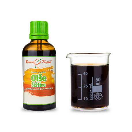 Erle Sticky Cones - Kräutertropfen (Tinktur) Pflanzenseele 50 ml