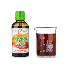 Drachen Wermut - Kräutertropfen (Tinktur) Seele der Pflanzen 50 ml