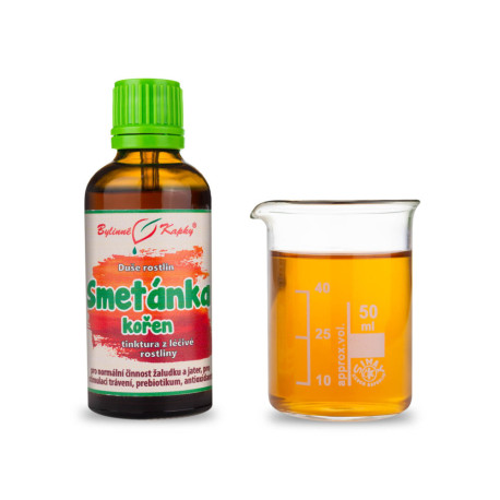Löwenzahnwurzel - Kräutertropfen (Tinktur) Pflanzenseele 50 ml