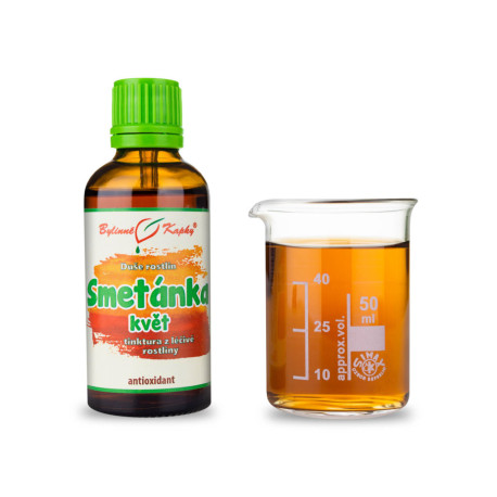 Löwenzahnblüte - Kräutertropfen (Tinktur) Seele der Pflanzen 50 ml