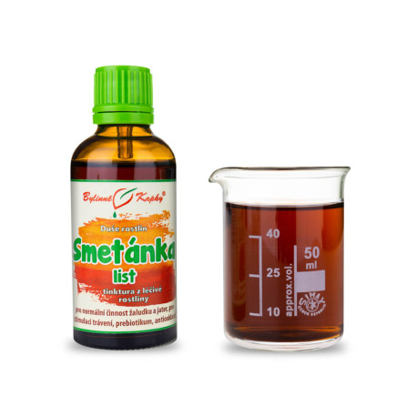 Löwenzahnblatt - Kräutertropfen (Tinktur) Pflanzenseele 50 ml