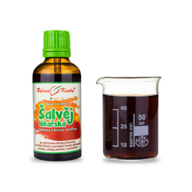 Salbei - Kräutertropfen (Tinktur) Seele der Pflanzen 50 ml