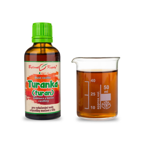 Kanadischer Turanec - Kräutertropfen (Tinktur) Seele der Pflanzen 50 ml