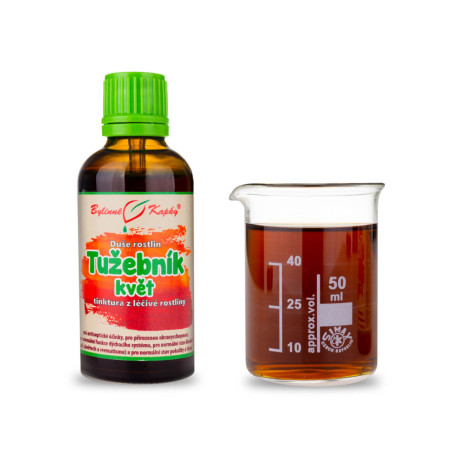 Sehnsüchtige Ulmenblüte - Kräutertropfen (Tinktur) Pflanzenseele 50 ml