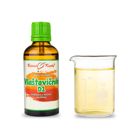 Schöllkraut D1 (Chelidonium) - Kräutertropfen (Tinktur) Pflanzenseele 50 ml