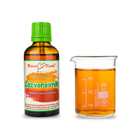 Ingwer - Kräutertropfen (Tinktur) Seele der Pflanzen 50 ml