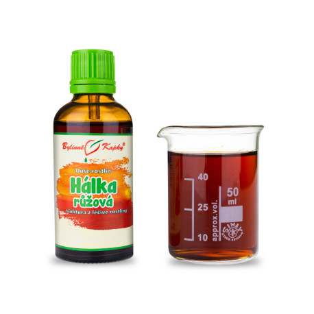 Rosengalle - Kräutertropfen (Tinktur) Pflanzenseele 50 ml