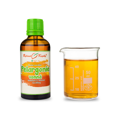 Geranie - Kräutertropfen (Tinktur) Pflanzenseele 50 ml