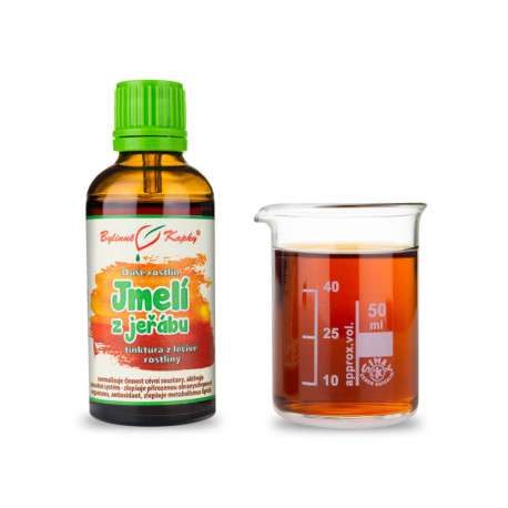 Ebereschenmistel - Kräutertropfen (Tinktur) Pflanzenseele 50 ml