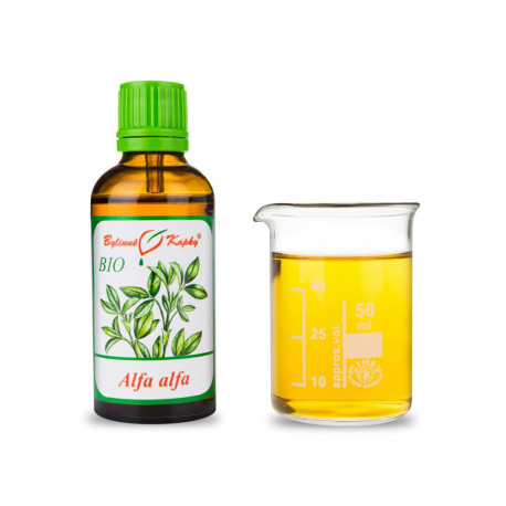 Alfalfa Samen BIO Tropfen (Tinktur) 50 ml
