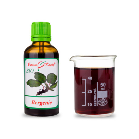 Bergenia Fett-Blatt BIO Tropfen (Tinktur) 50 ml