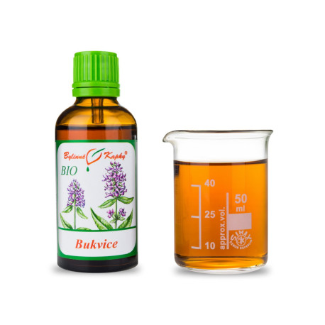 Betonika BIO Tropfen (Tinktur) 50 ml