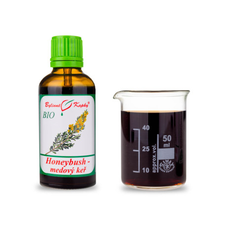 Honeybush BIO Tropfen (Tinktur) 50 ml