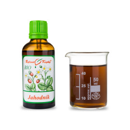 Erdbeerblatt + Blüte BIO Tropfen (Tinktur) 50 ml