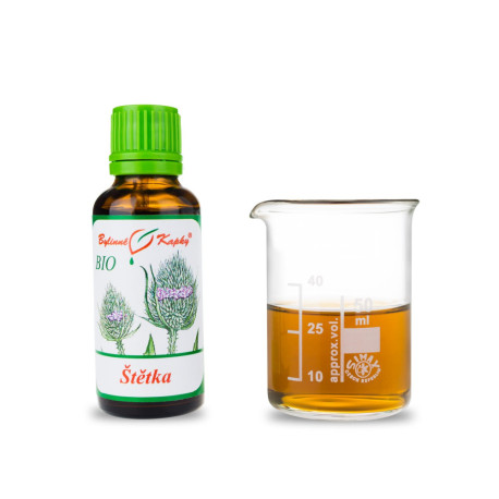Stoffbürste BIO Tropfen (Tinktur) 30 ml